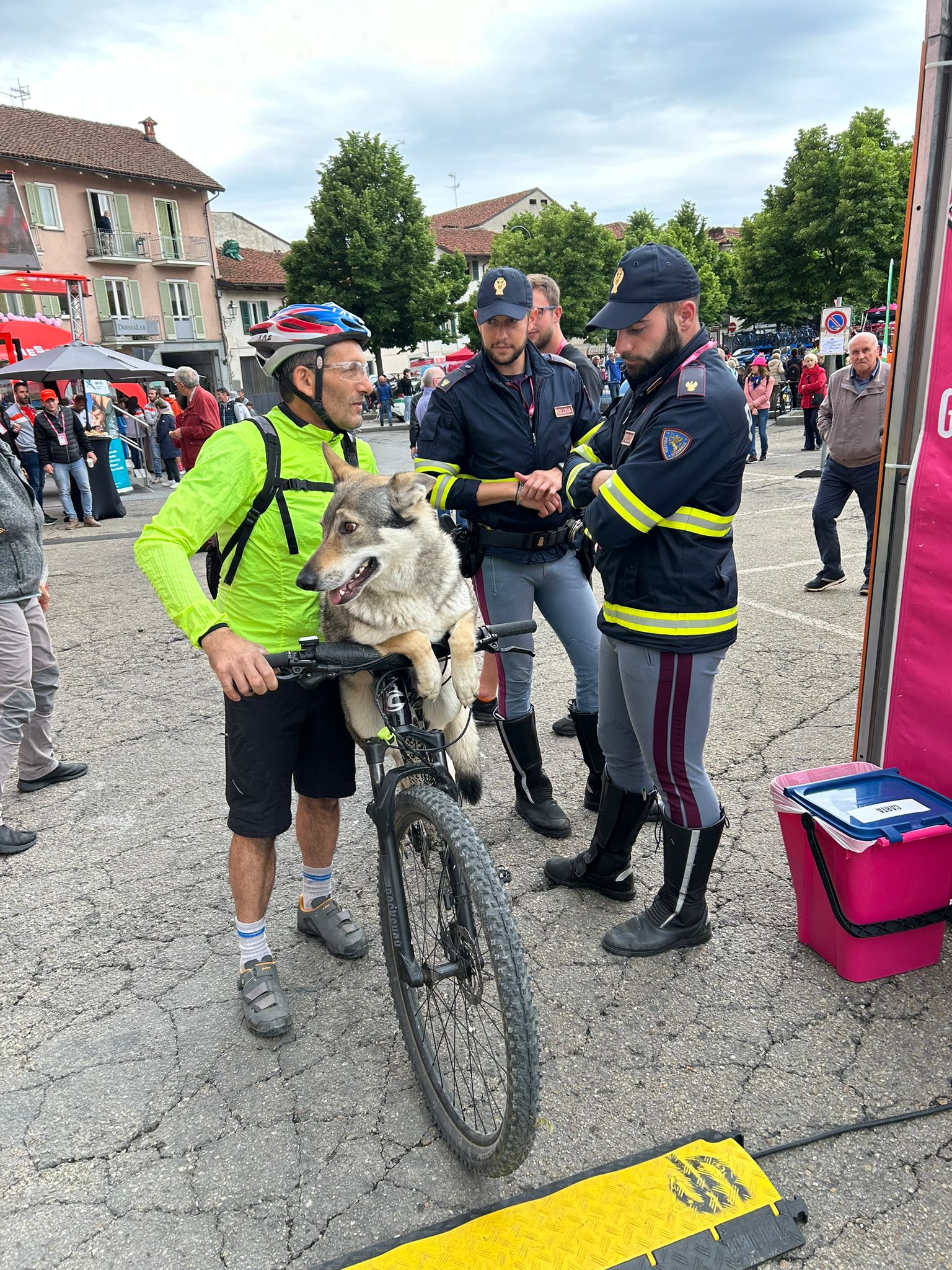 La passione per la bicicletta come mezzo di trasporto anche per gli animali: a Bra (CN), per vedere i campioni su due ruote, un tifoso trasporta il suo lupo cecoslovacco in bici davanti allo sguardo attonito dei poliziotti della Stradale