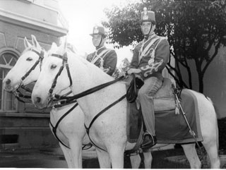 1965  roma reparto a cavallo